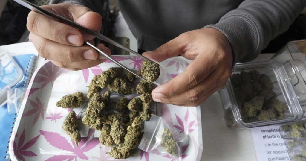 Case of Mi’kmaq man facing cannabis charges moves to constitutional challenge in N.S.