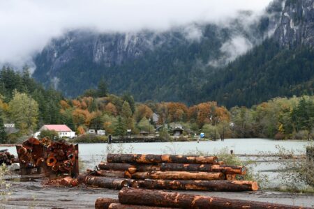 B.C. introducing legislative amendments to increase wood fibre supply B.C. introducing legislative amendments to increase wood fibre supply