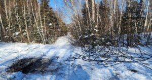 As more copper wire thefts knock out service, some point fingers at scrap yards