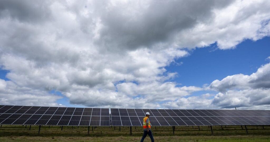 Energy-hungry Nova Scotia companies nearly doubled their solar power capacity in 2025