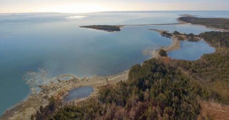 N.S. Whale Sanctuary Project: France says captive whales remain private property N.S. Whale Sanctuary Project: France says captive whales remain private property