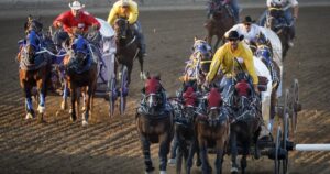 Cash for canvas: Annual Calgary Stampede tarp auction sets record of .1M in bids