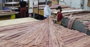 CBSA launches probe into possible dumping of Chinese plywood