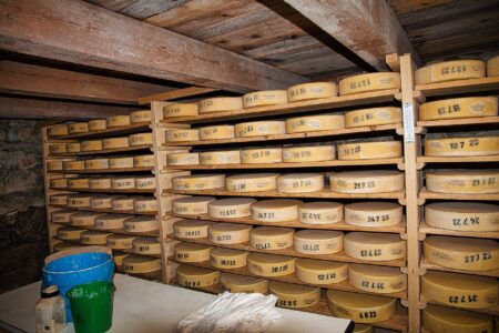 Raw dairy farm recalls some cheese products as FDA investigates E. coli outbreak Raw dairy farm recalls some cheese products as FDA investigates E. coli outbreak