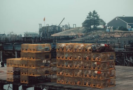 Lobster harvesters hope for strong prices as cost of fuel and other expenses soar Lobster harvesters hope for strong prices as cost of fuel and other expenses soar