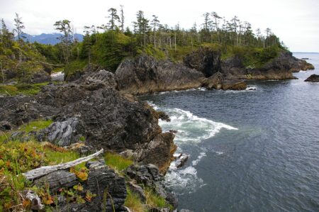 B.C. Appeals Court sides with First Nation over Aboriginal title on Nootka Island B.C. Appeals Court sides with First Nation over Aboriginal title on Nootka Island