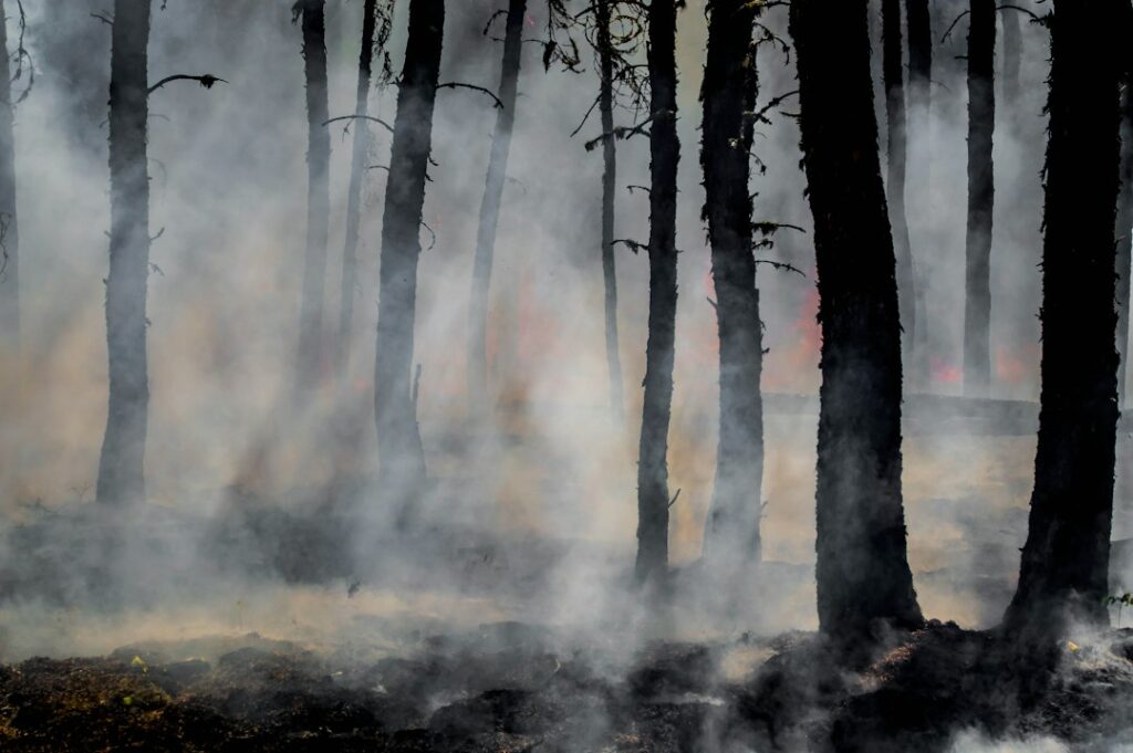 What’s in store for Canada’s 2026 wildfire season?