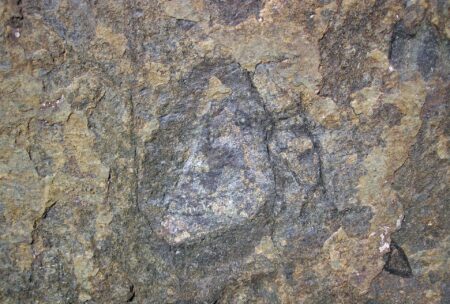 ‘The most lasting legacy:’ Famed Alberta mantle geochemist namesake of new mineral ‘The most lasting legacy:’ Famed Alberta mantle geochemist namesake of new mineral