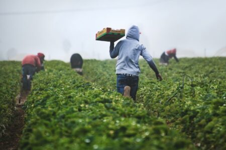 Press Release: Group Raises Concern Regarding Migrant Workers’ Rights at the Nova Scotia Legislature Press Release: Group Raises Concern Regarding Migrant Workers’ Rights at the Nova Scotia Legislature