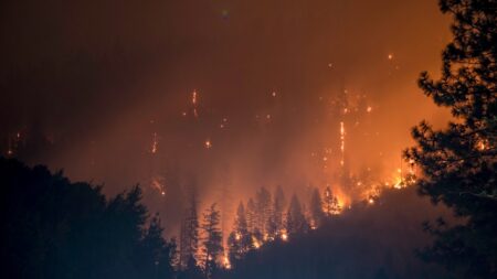 B.C.’s Bradley Creek Fire Is Burning on the Same Lake West Kelowna Lost Homes to in 2023 B.C.’s Bradley Creek Fire Is Burning on the Same Lake West Kelowna Lost Homes to in 2023