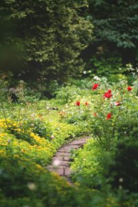 How to Start Winterizing Your Garden in August: A Step-by-Step Guide for Canadian Gardeners