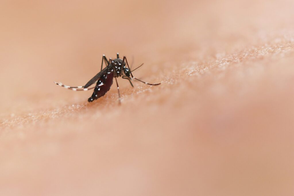 Hamilton and Niagara Confirmed Their First West Nile Cases a Day Apart. The Standard Dawn and Dusk Advice Has a Gap