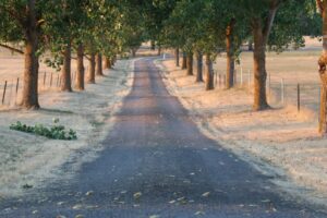 How to Fill Asphalt Driveway Cracks Before Winter: A Step-by-Step Guide for Canadian Homeowners