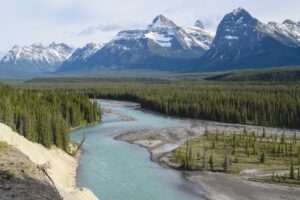 On This Day: Ottawa Set Aside Jasper Forest Park, Sept. 14, 1907 On This Day: Ottawa Set Aside Jasper Forest Park, Sept. 14, 1907