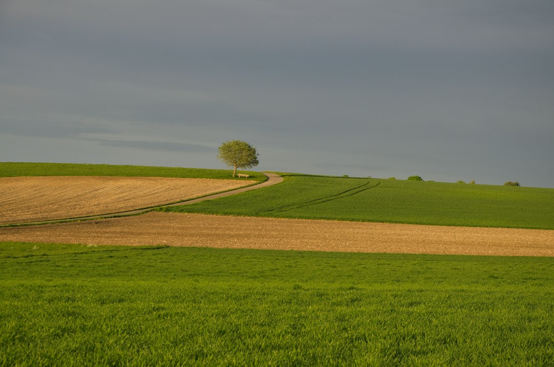 Rolling countryside farmland, illustrative stock photo of a rural Ontario-type setting