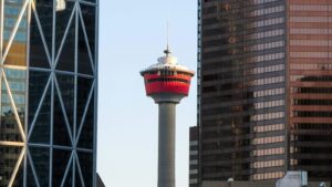 250 Groups Asked Ottawa to Suspend Removal Orders for 10 Calgary Graduates. The Rule That Refused Them Was Rewritten in June 250 Groups Asked Ottawa to Suspend Removal Orders for 10 Calgary Graduates. The Rule That Refused Them Was Rewritten in June