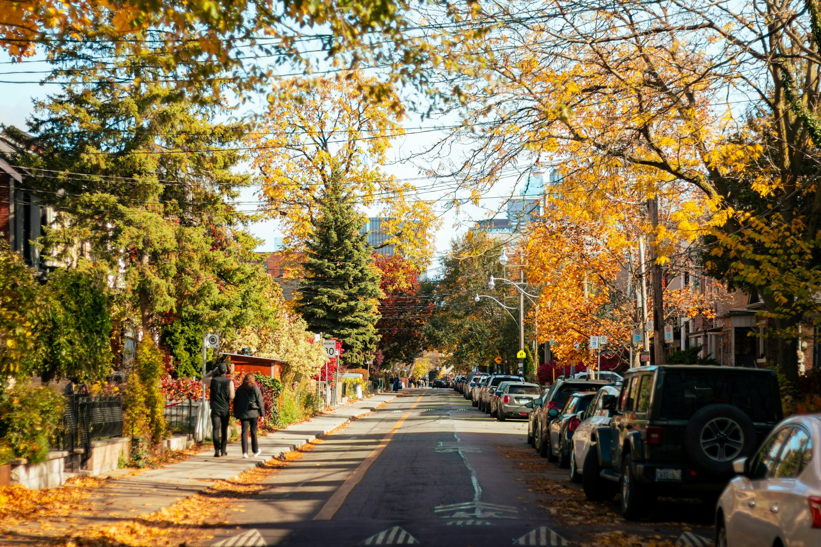 Illustrative stock photograph of a Canadian residential street lined with parked cars in autumn.