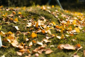 How to Mulch Fall Leaves With a Mower in Canada How to Mulch Fall Leaves With a Mower in Canada