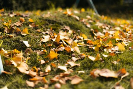 How to Mulch Fall Leaves With a Mower in Canada