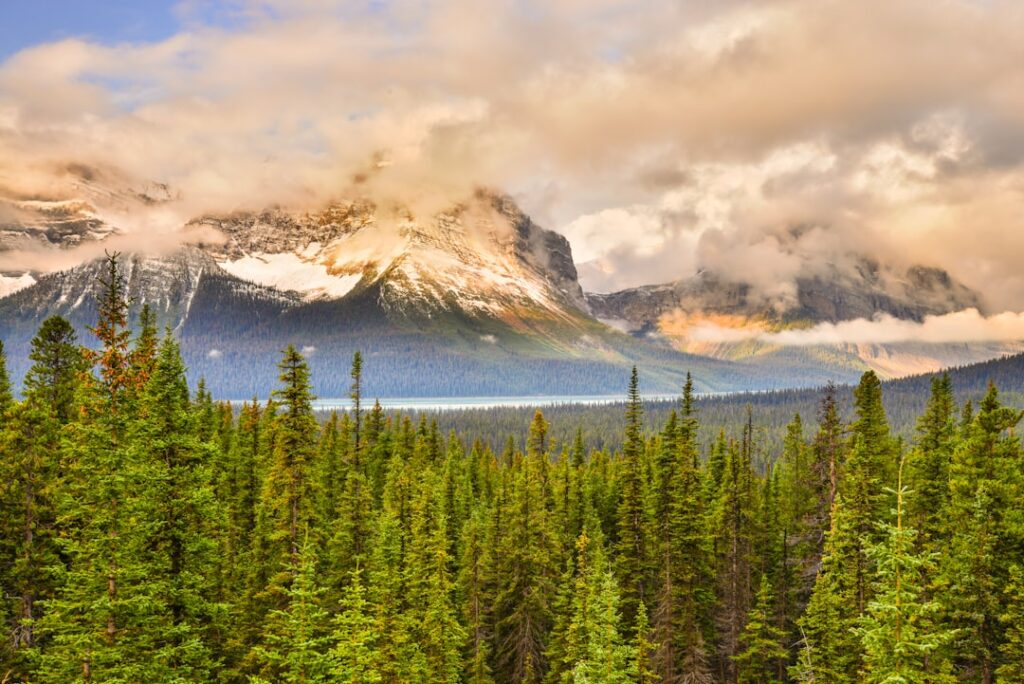 Canada’s Climate Change Is Now Irreversible, Federal Report Says — Ottawa’s .1B Adaptation Commitment Faces B in Projected Annual Losses