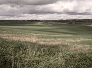 Protein Industries Canada Puts .2M Into Prairie AI Tools as Fungicide Resistance Narrows Growers’ Options Protein Industries Canada Puts .2M Into Prairie AI Tools as Fungicide Resistance Narrows Growers’ Options