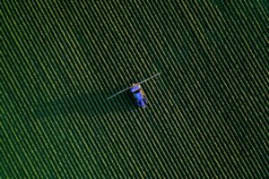 Protein Industries Canada Puts .2 Million Into Farm AI, in the Sector With Canada’s Lowest AI Adoption Rate Protein Industries Canada Puts .2 Million Into Farm AI, in the Sector With Canada’s Lowest AI Adoption Rate