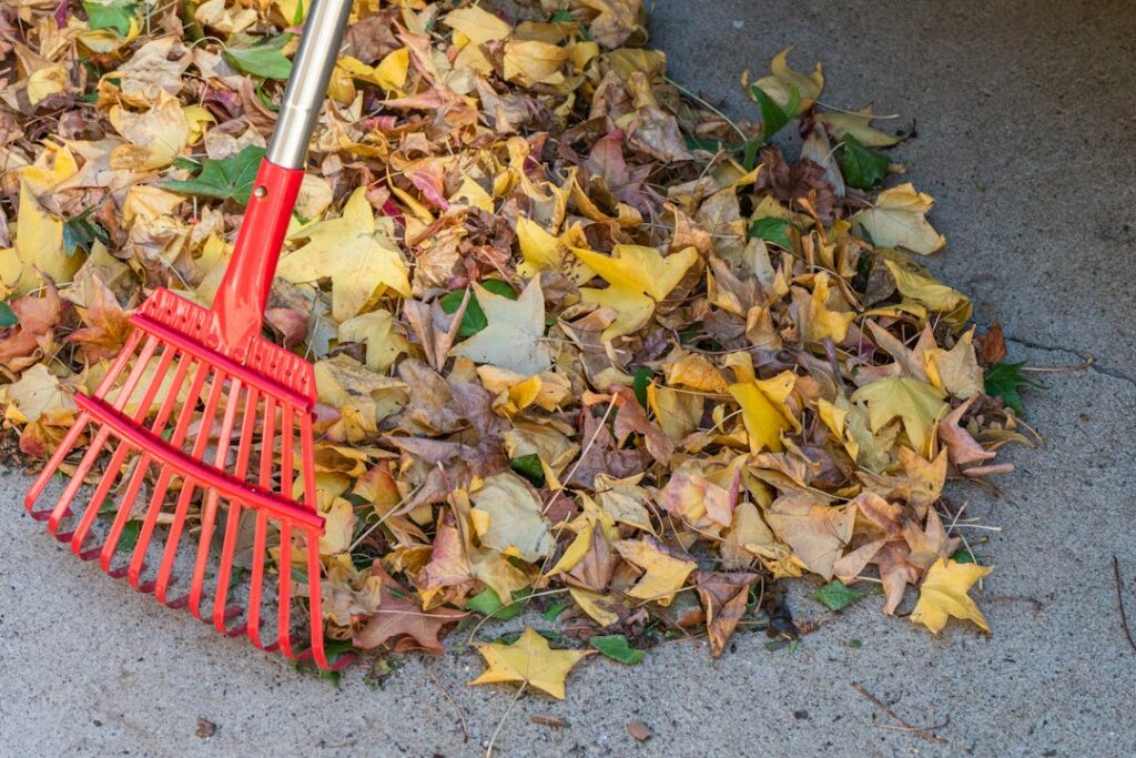 How to Prepare Your Lawn for Winter in Canada