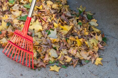 How to Prepare Your Lawn for Winter in Canada