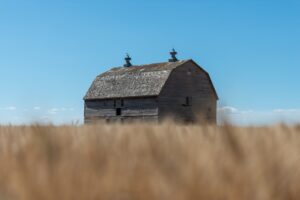 Ottawa Backs a .9-Million AI Push to Forecast Ascochyta Blight and Get Canadian Farmers Out of Grain Bins Ottawa Backs a .9-Million AI Push to Forecast Ascochyta Blight and Get Canadian Farmers Out of Grain Bins