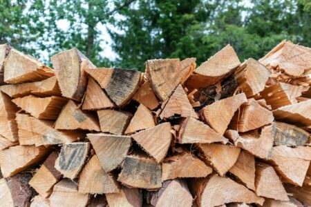 How to Store Firewood for Winter in Canada How to Store Firewood for Winter in Canada