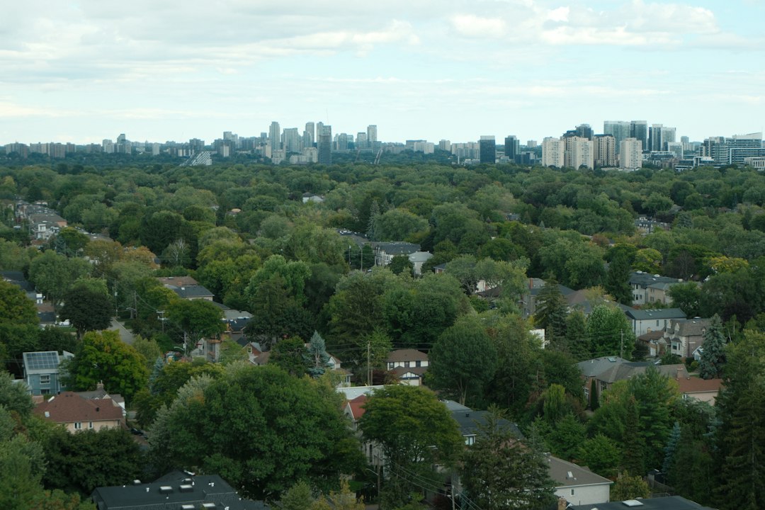 Suburban neighbourhood of detached homes with a city skyline in the distance