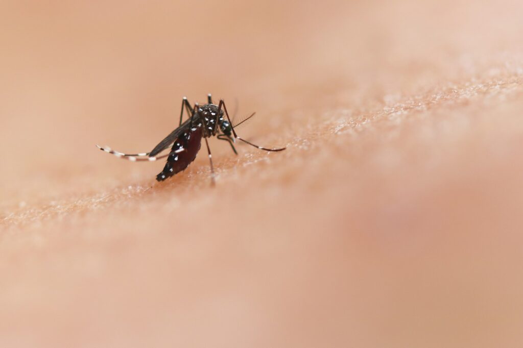Chikungunya travel notice covers Cuba and Costa Rica