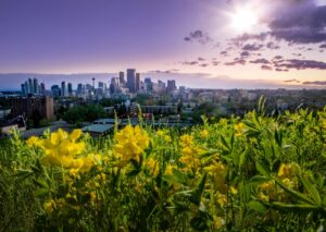 Alberta Votes to Stay in Canada, Early Results Show Alberta Votes to Stay in Canada, Early Results Show