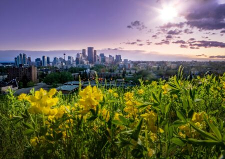 Alberta Votes to Stay in Canada, Early Results Show Alberta Votes to Stay in Canada, Early Results Show