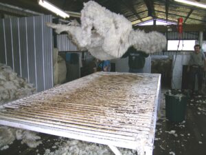 Wool council gets 8,180 as U.S. tariff hits producers Wool council gets 8,180 as U.S. tariff hits producers