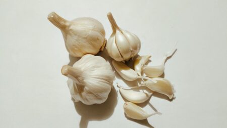 How to Plant Garlic in Fall in Canada How to Plant Garlic in Fall in Canada