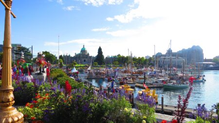 Victoria leaf pickup runs to January: dates by area Victoria leaf pickup runs to January: dates by area