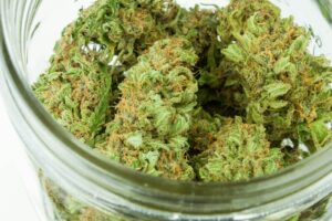 Cannabis recalled in Ontario: label hides 30% THC Cannabis recalled in Ontario: label hides 30% THC