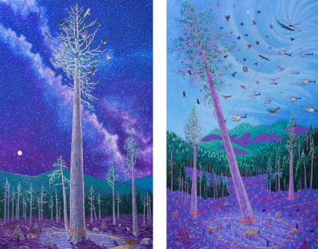 Kyle Scheurmann’s All That We Can Take: A Reckoning with the Loss of an Old-Growth Forest He Tried to Save Kyle Scheurmann’s All That We Can Take: A Reckoning with the Loss of an Old-Growth Forest He Tried to Save