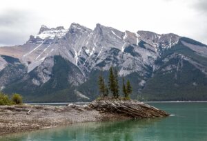 Parks Canada ends search and rescue dog program Parks Canada ends search and rescue dog program