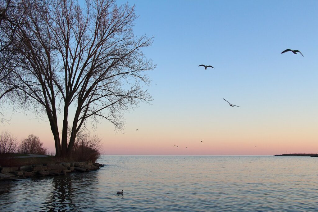 AFN, NCAI say Lake Ontario name will not change AFN, NCAI say Lake Ontario name will not change