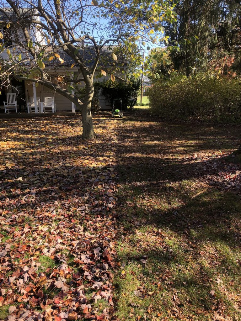 How to mulch fall leaves with a mower in Canada