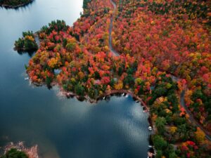 81,400 hectares of Ontario boreal forest to be protected 81,400 hectares of Ontario boreal forest to be protected
