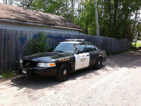 Group seeks probe of OPP probation of three Black recruits Group seeks probe of OPP probation of three Black recruits