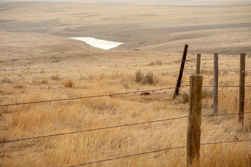 Alberta eases wetland drainage rules for farmers