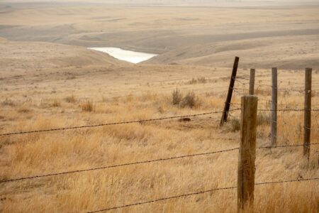 Alberta eases wetland drainage rules for farmers Alberta eases wetland drainage rules for farmers