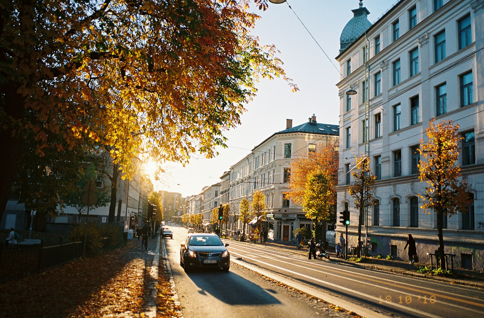 Residential street lined with trees and parked cars
