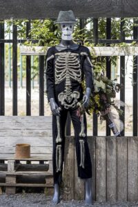 Best Halloween costumes 2026 on Amazon.ca for the whole family Best Halloween costumes 2026 on Amazon.ca for the whole family