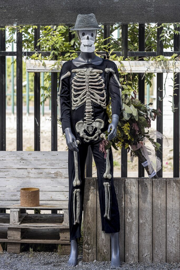 Best Halloween costumes 2026 on Amazon.ca for the whole family