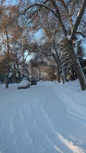 Edmonton faces first big snowfall, up to 15 cm by Thursday Edmonton faces first big snowfall, up to 15 cm by Thursday